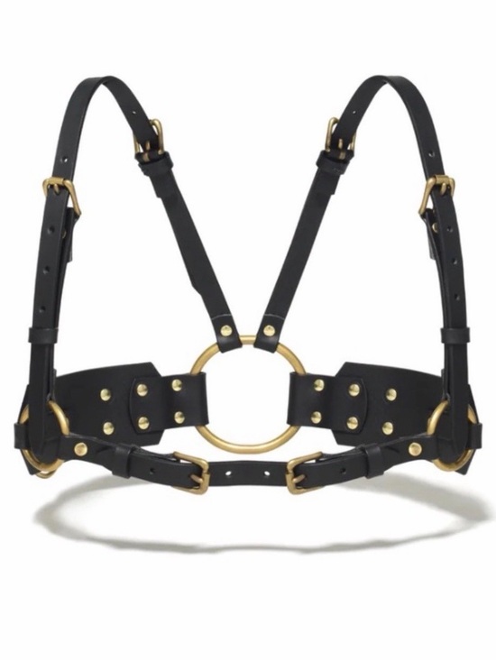 Ardeo Brass High Waist Harness main image 7